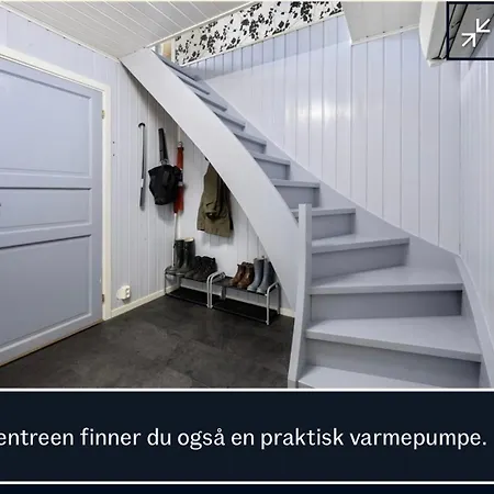 Tripperasen Moi * Eikje